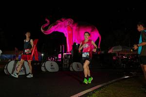 BIB: 
                            <button type="button" onclick="openModal(26543404)" class="btn btn-primary btn-sm float-right btn-popup" data-toggle="modal" data-target=".modal-high-quality">
                        <i class="fas fa-shopping-cart"></i> Add to Cart
                    </button>
                                            <button type="button" onclick="isThisMe(26543404, true)" class="btn btn-success btn-sm float-right btn-popup btn-isme hidden" data-toggle="tooltip" data-placement="bottom" title="นี่คือรูปของคุณใช่ไหม คลิกที่นี่เพื่อเอาเข้าอัลบั้ม">
                        <i class="fas fa-plus"></i> Add to album
                    </button>
                    <button type="button" onclick="isThisMe(26543404, false)" class="btn btn-warning btn-sm float-right btn-popup btn-isnotme hidden">
                        <i class="fas fa-ban"></i> Remove from album
                    </button>